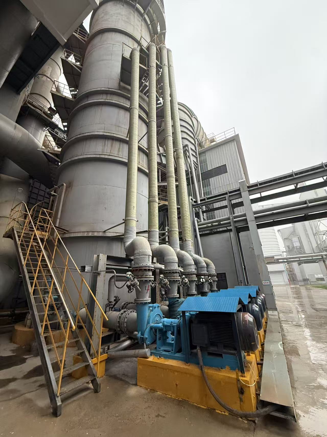 1765938016102298.jpg a1.jpg